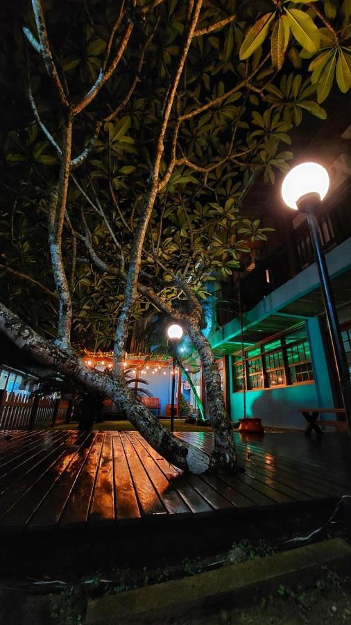 Hotel Pousada Filhos Da Terra Trindade  Zewnętrze zdjęcie
